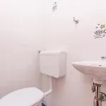 In * 노비비노돌스키